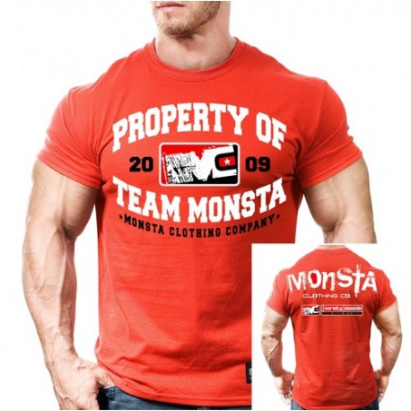 monsta-property